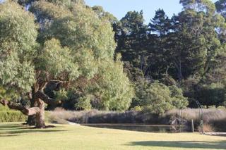 Tawharanui Lodge Warkworth Zewnętrze zdjęcie